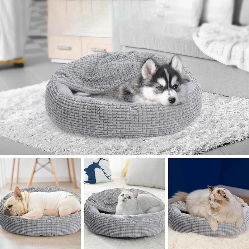 Pet Beds & Sleeping Mats