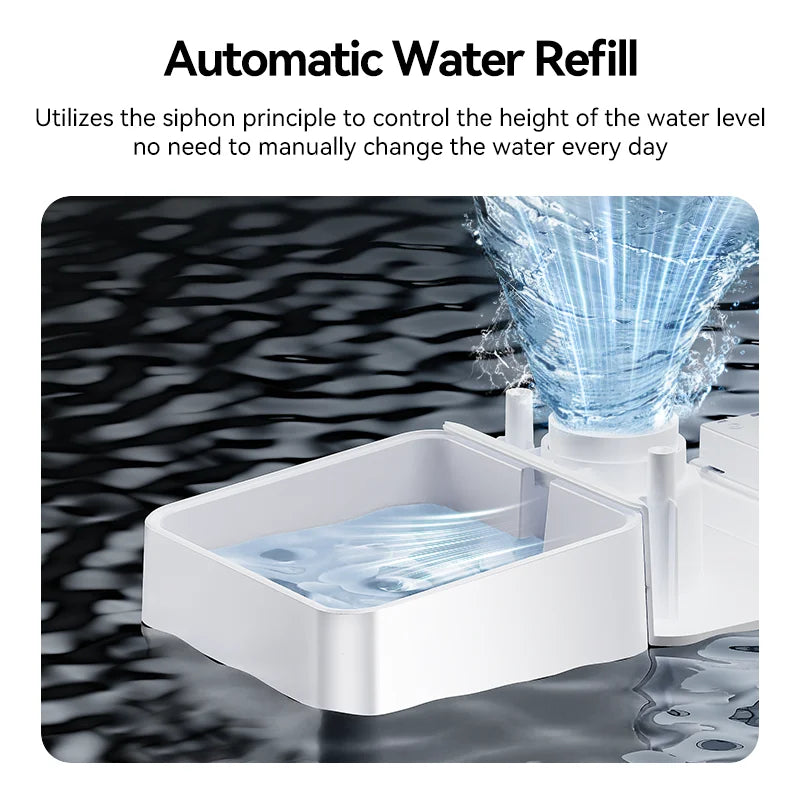 Pet Feeders & Water Dispensers