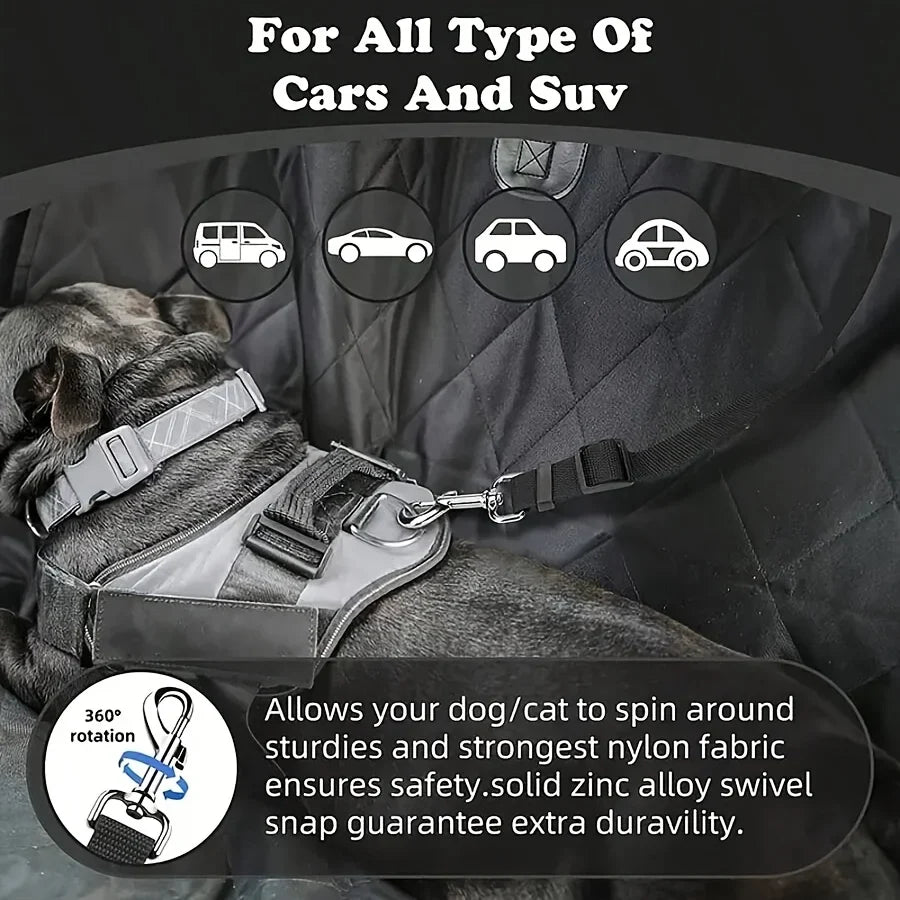 Pet Travel & Car Safety